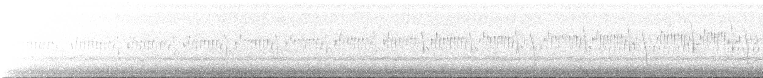 amerikarugde - ML149277521