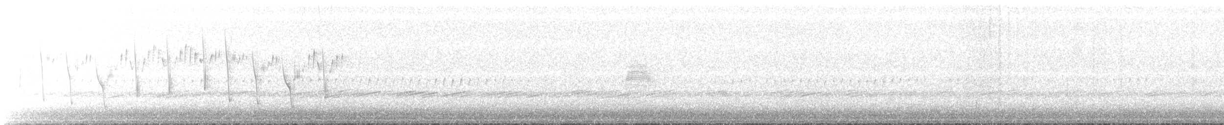 amerikarugde - ML149278351