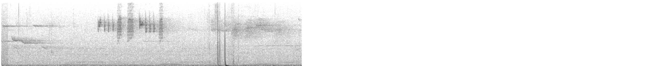 holub běloprsý - ML149306881