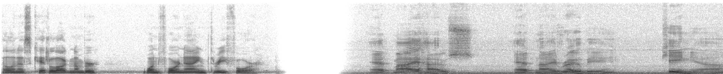 Kikuyu White-eye - ML14934