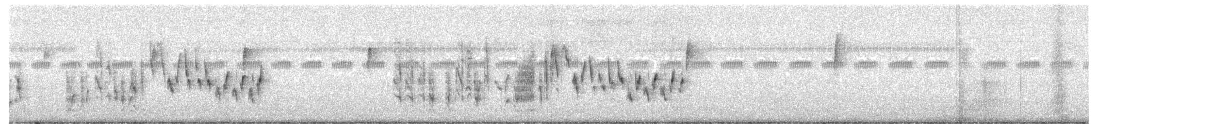 Northern House Wren - ML149357871