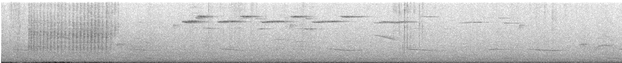 Oriole à dos rayé (groupe pustulatus) - ML149441621