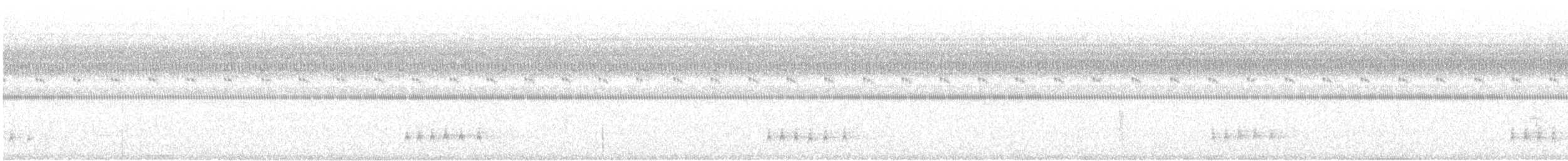 Wood Thrush - ML149464331