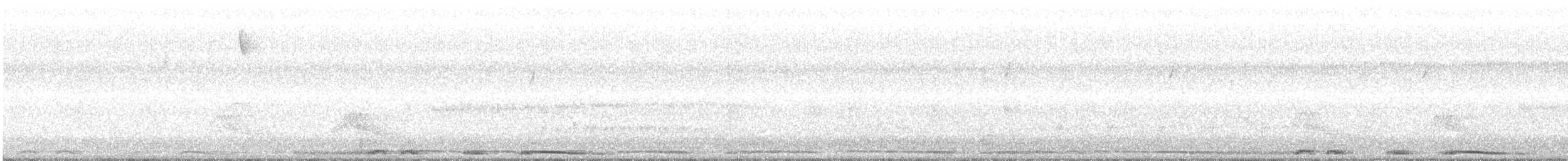 Белокрылая горлица - ML149545191