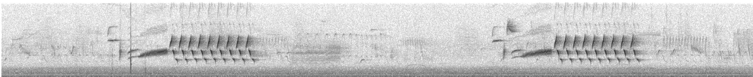 Bewick's Wren - ML149710921