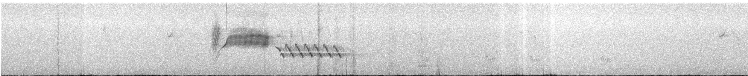 Bewick's Wren - ML149760381