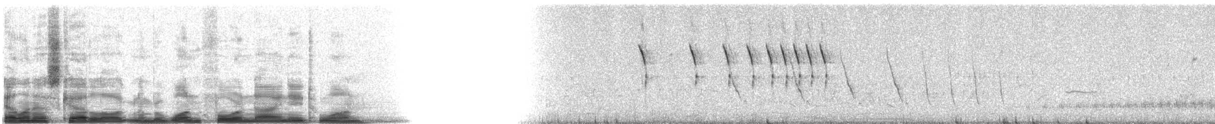 Botteri's Sparrow (Botteri's) - ML14981