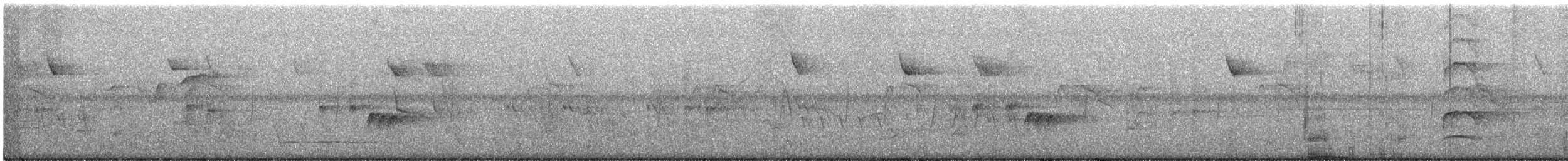 Thicket Tinamou - ML149825471