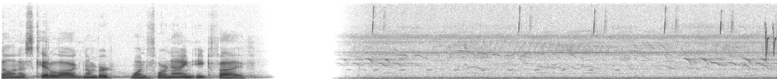 Botteri's Sparrow (Peten) - ML14985