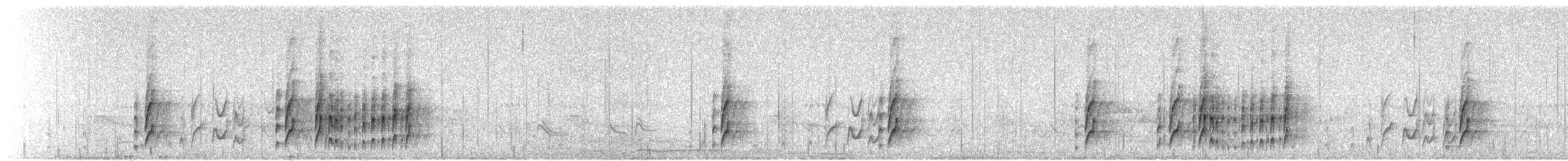 Schmalschnabel-Königstyrann - ML149870241