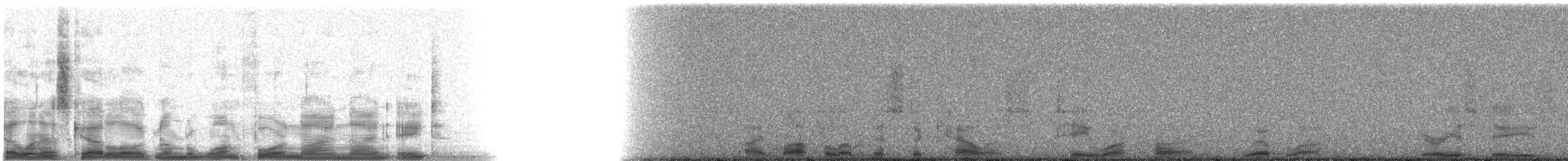 Bridled Sparrow - ML14998