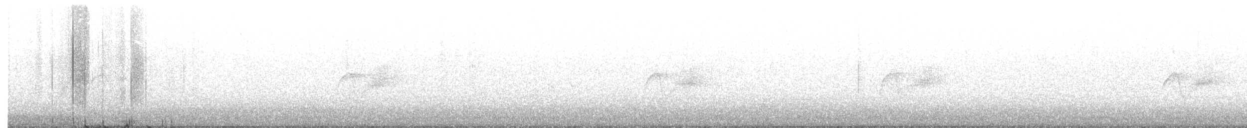 Светлобрюхий фиби - ML150030741