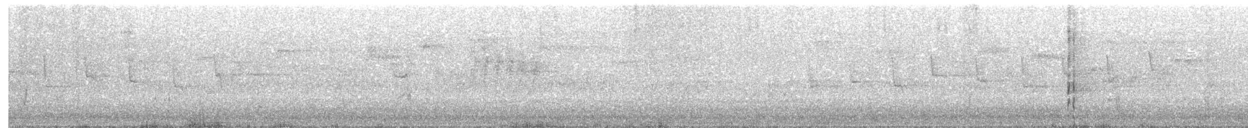 Kopetazuri arrunta - ML150213351