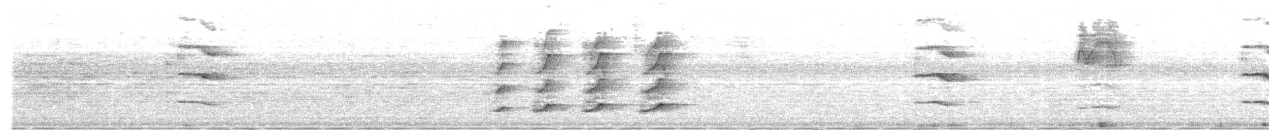 長耳鴞 - ML150276681