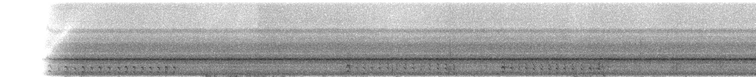 Baird's Trogon - ML150284861