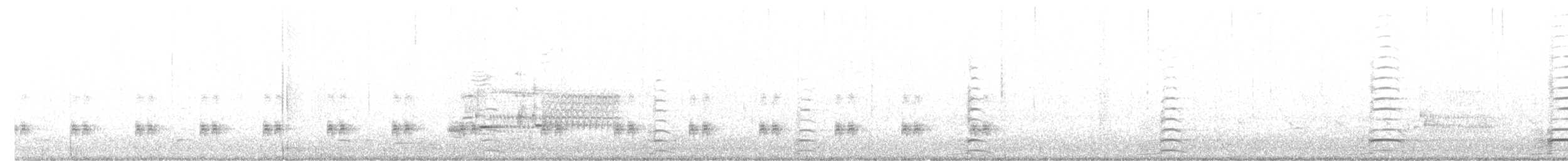Virginia Rail - ML150290531