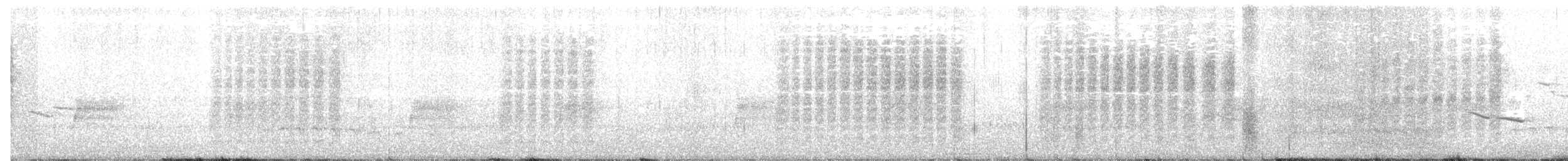 Troglodyte de Bewick - ML150304781