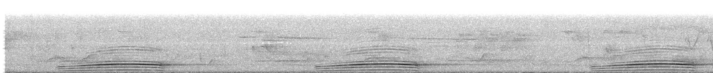 Трагопан сірогрудий - ML150328211