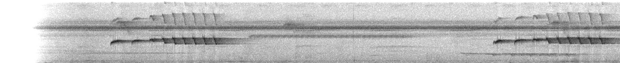 Grauscheitel-Ameisenvogel - ML150350351