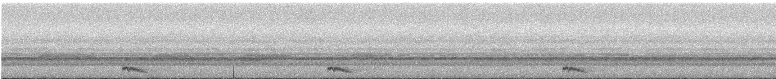 Ohrennachtschwalbe - ML150357281