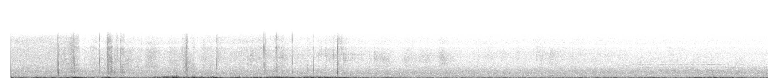 gullspett (luteus x cafer) - ML150407061