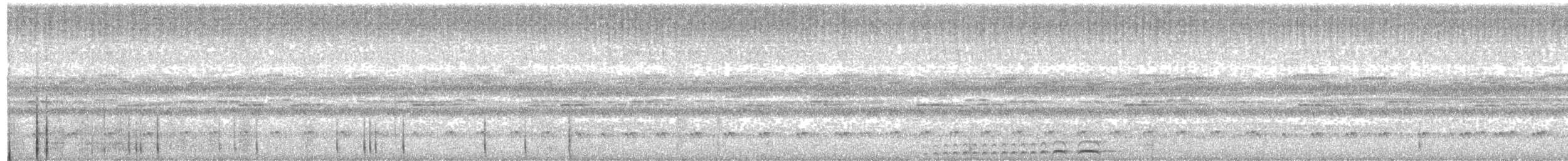 Tropenkreischeule - ML150440431