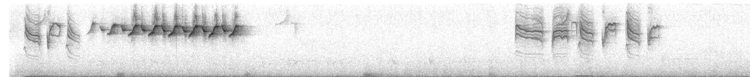 Paruline noir et blanc - ML150484961