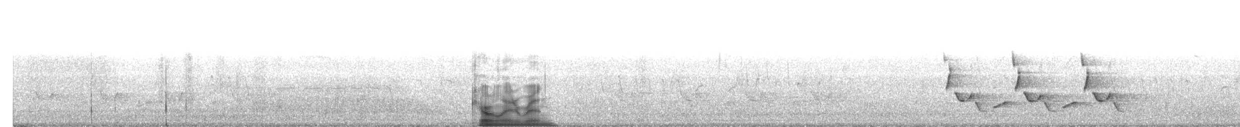 Каролинский крапивник - ML150488351