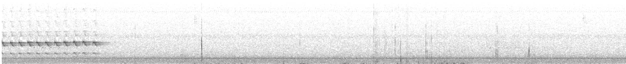 Яструб неоарктичний (підвид chionogaster) - ML150490771