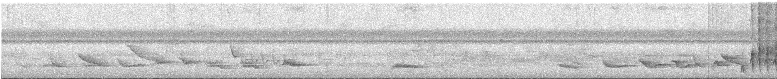 Soluk Göğüslü Ardıç - ML150510041