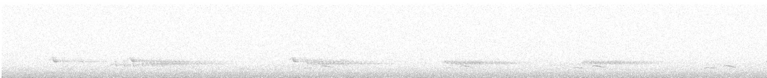 Winternachtschwalbe - ML150532831