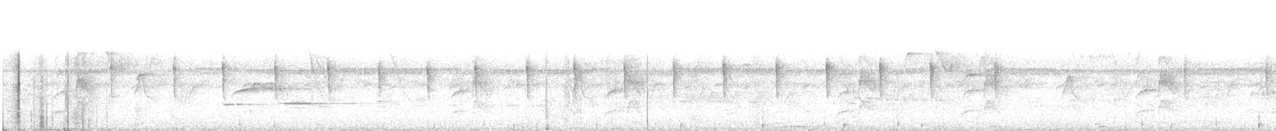 Graugelb-Todityrann - ML150534561