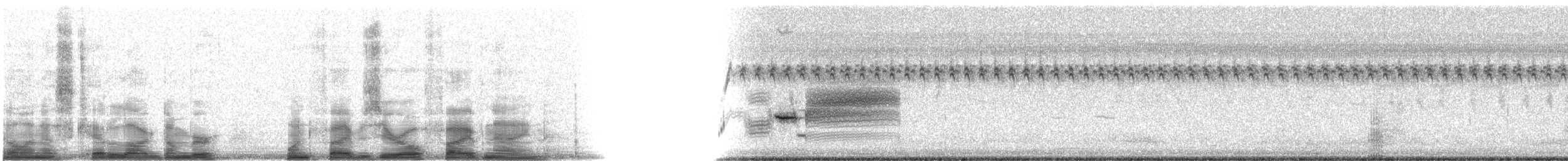 Приморская овсянка-барсучок (nigrescens) - ML15059
