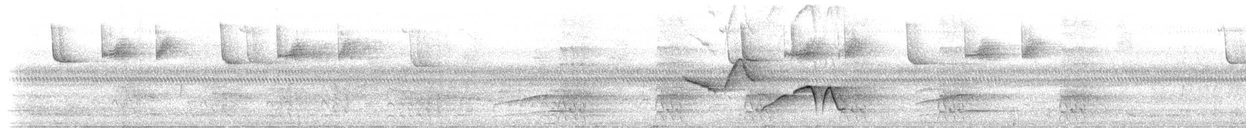Troglodyte à poitrine tachetée - ML150606811