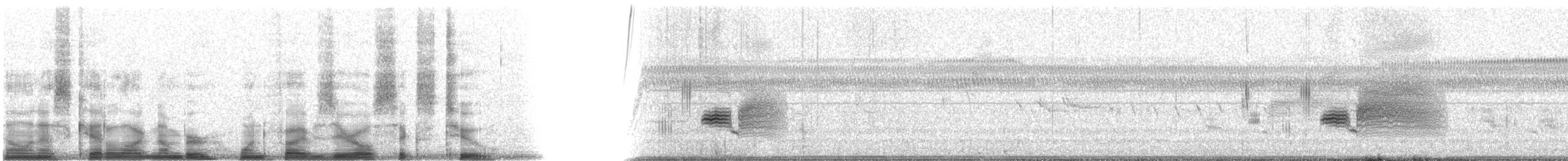Приморская овсянка-барсучок (nigrescens) - ML15062