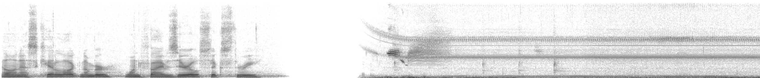 Приморская овсянка-барсучок (nigrescens) - ML15063