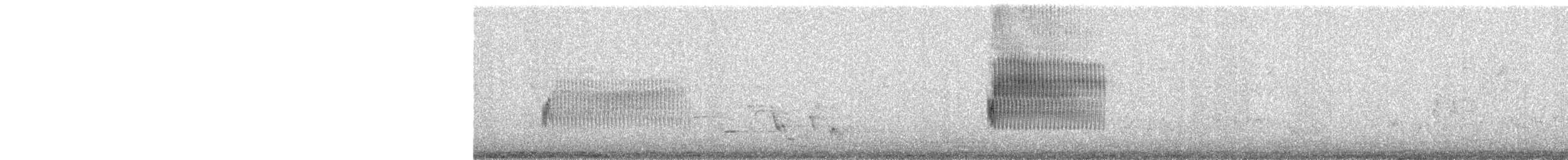 Тауї плямистий - ML150648961