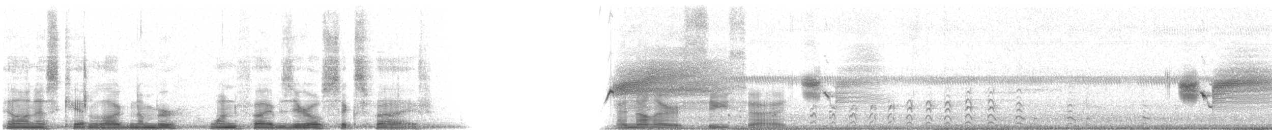 Приморская овсянка-барсучок (nigrescens) - ML15065