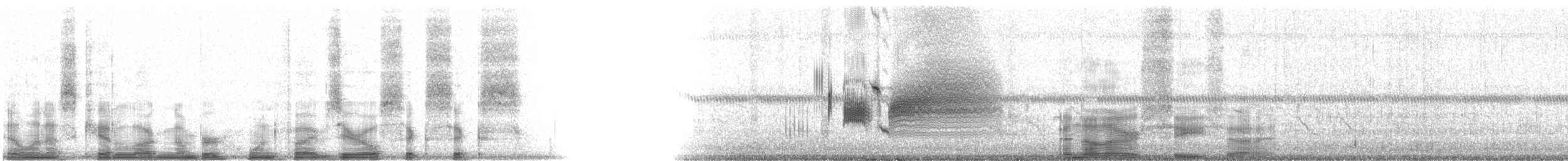 Приморская овсянка-барсучок (nigrescens) - ML15066