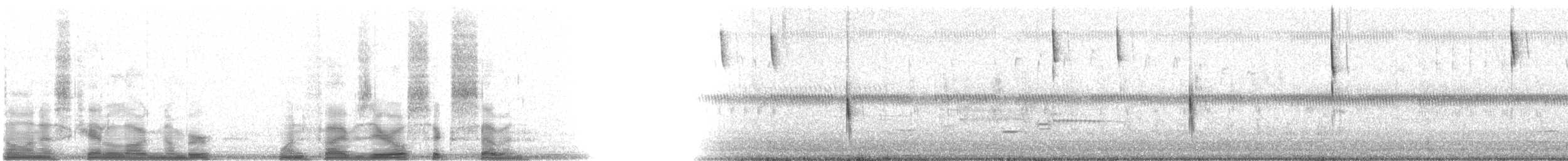 Приморская овсянка-барсучок (nigrescens) - ML15067