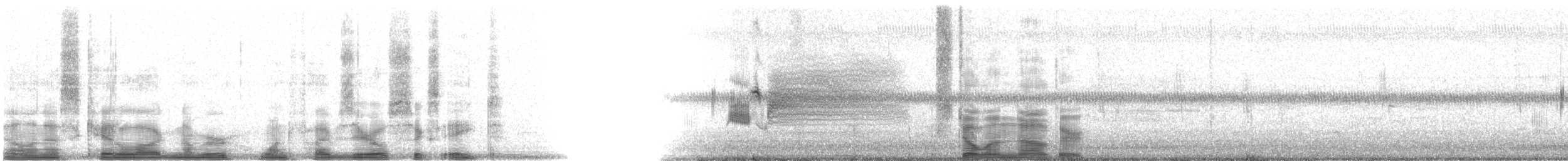 Приморская овсянка-барсучок (nigrescens) - ML15068