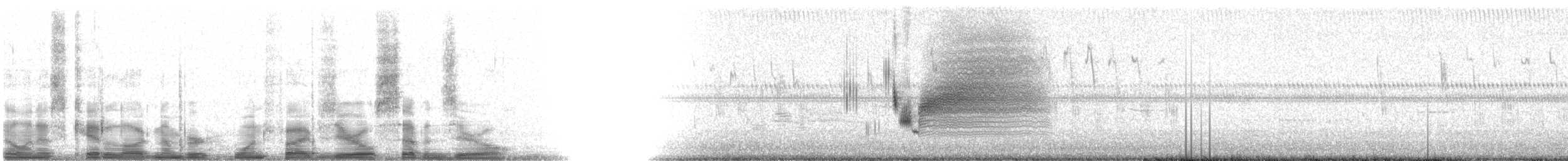 Приморская овсянка-барсучок (nigrescens) - ML15070