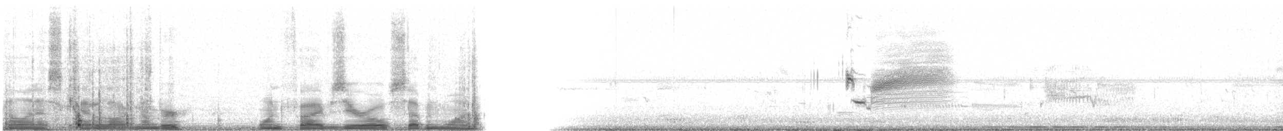 Приморская овсянка-барсучок (nigrescens) - ML15071