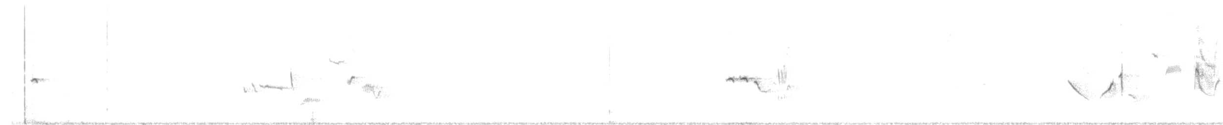 Buztantentea [galactotes Taldekoa] - ML150710131