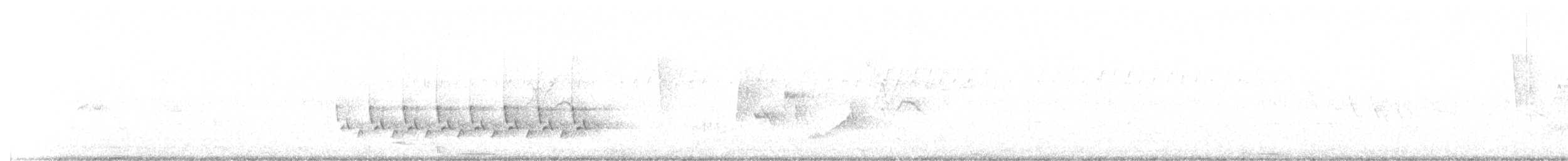 Каролинский крапивник - ML150719921