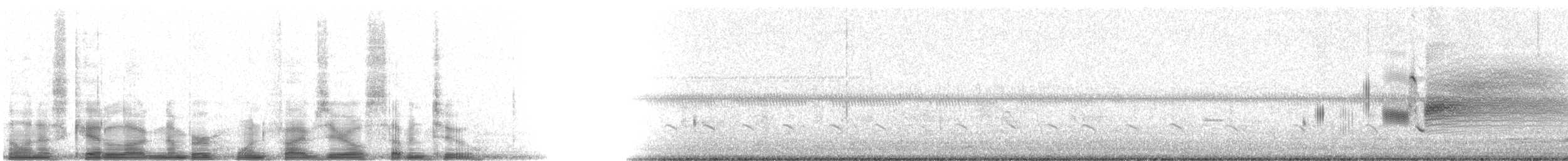 Приморская овсянка-барсучок (nigrescens) - ML15072