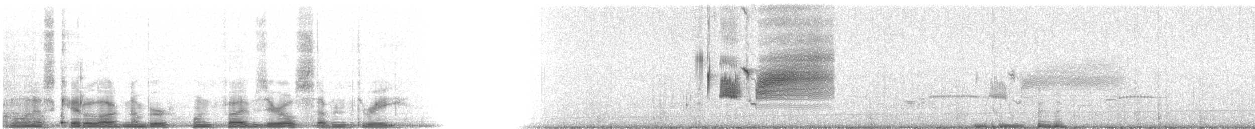 Приморская овсянка-барсучок (nigrescens) - ML15073