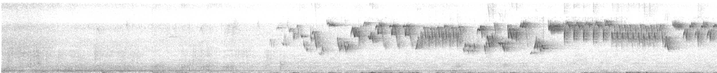 Troglodyte de Baird - ML150734471