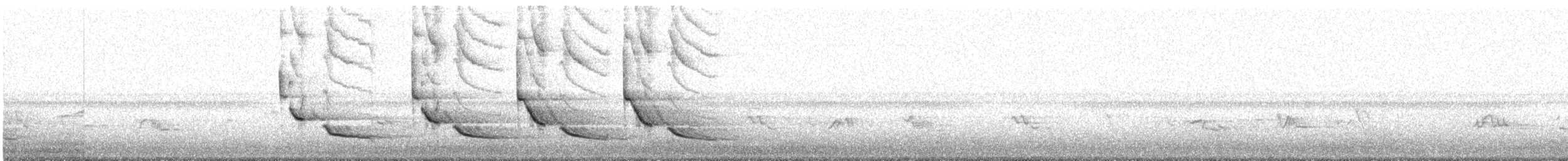 ショウジョウコウカンチョウ - ML150745211