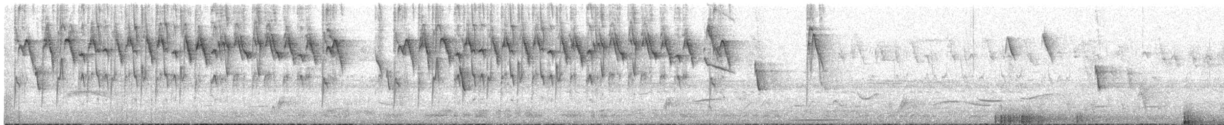 Calliste vitriolin - ML150821041